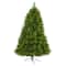 6ft. Pre-Lit Green Scotch Pine Artificial Christmas Tree with Clear LED Lights